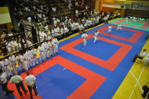 DSC 0023
