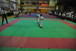 DSC 0110