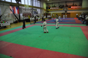 DSC 0111