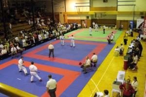 IMG 6985