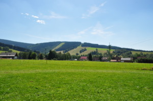 DSC 1355
