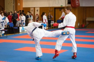 1. kolo Národního poháru karate