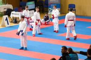 1. kolo Národního poháru karate