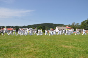 DSC 0232