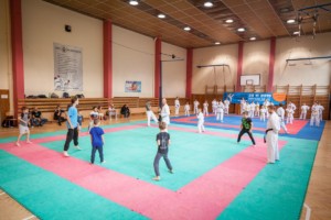 nábor karate 2019