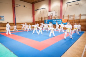 nábor karate 2019