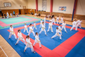 nábor karate 2019