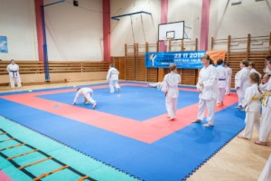 nábor karate 2019