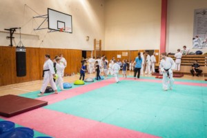 nábor karate 2019