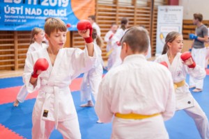 nábor karate 2019