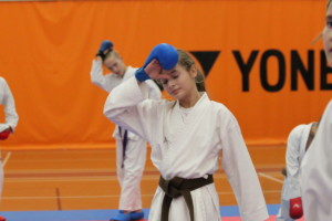 IMG 3586