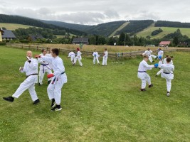 IMG 7453