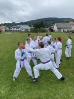 IMG 7462