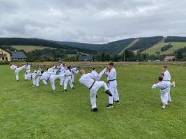 IMG 7474