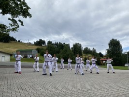 IMG 7878