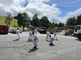 IMG 9483