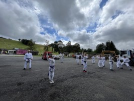 IMG 9487