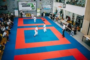 IMG 0492