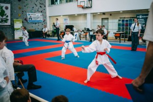 IMG 9134