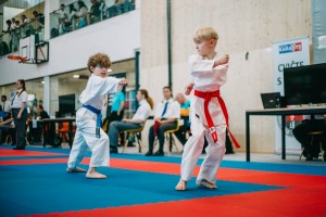 IMG 9330
