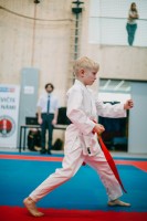 IMG 9376