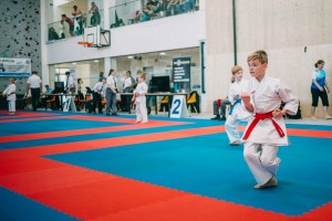 IMG 9445