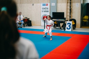 IMG 9574