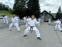 IMG 8500