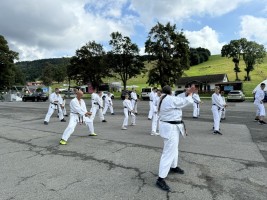 IMG 8525
