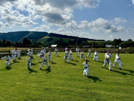 IMG 8972