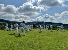 IMG 9046