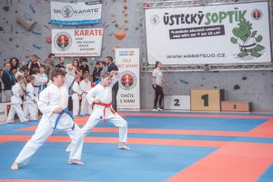 ustecky-soptik-133