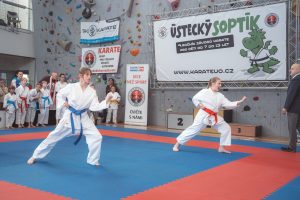 ustecky-soptik-154