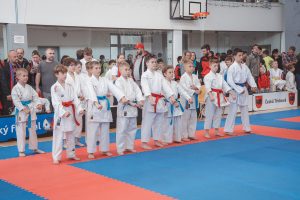 ustecky-soptik-201