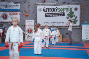 ustecky-soptik-245