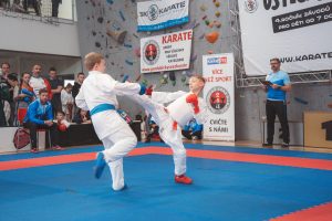 ustecky-soptik-254