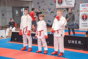 ustecky-soptik-295
