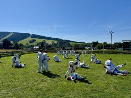 IMG 8835