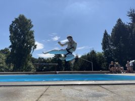 IMG 9007